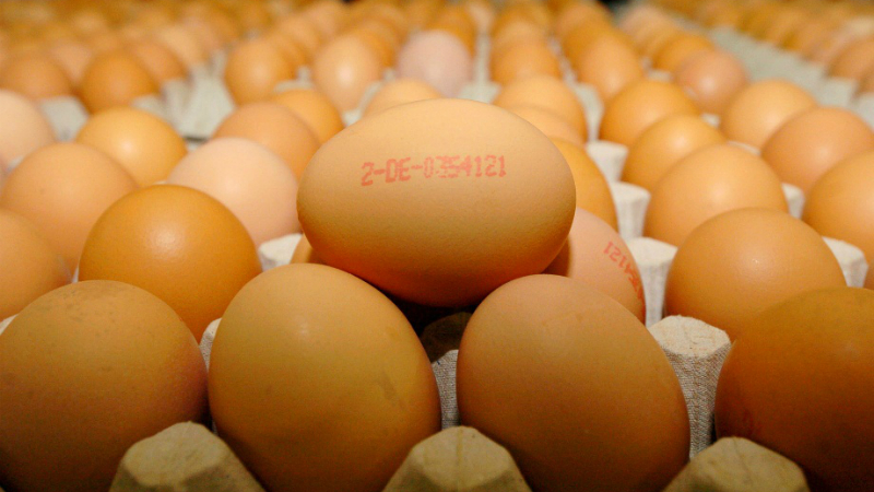 Домашние хитрости: Какие яйца лучше покупать на Пасху?