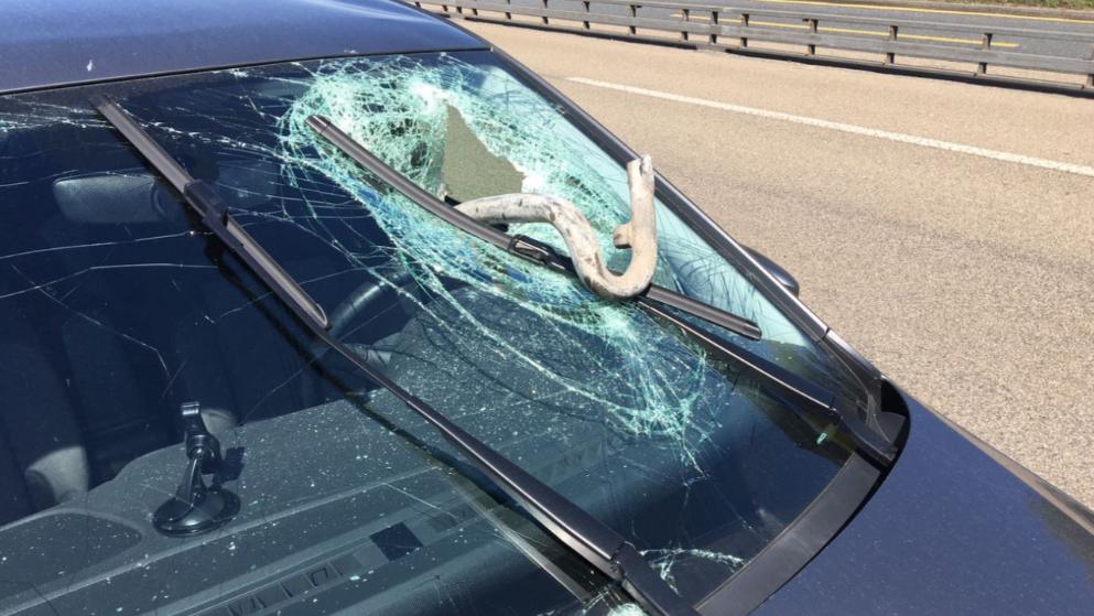 Происшествия: Металлическая конструкция на скорости пробила лобовое стекло встречного авто