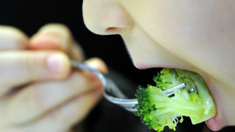 Отовсюду обо всем: Опасна ли веганская и вегетарианская диета для детей и подростков?
