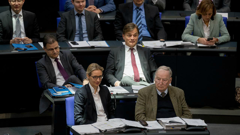 Политика: Как «Альтернатива для Германии» изменила парламент?