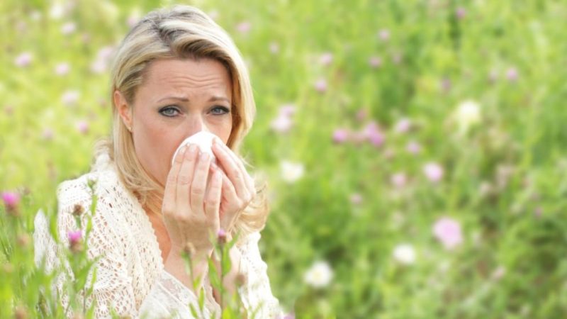 Здоровье: Сезон аллергии открыт: симптомы и методы лечения болезни