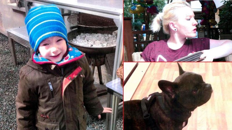 Происшествия: В Тюрингии мистически исчезла мать с ребенком и собака
