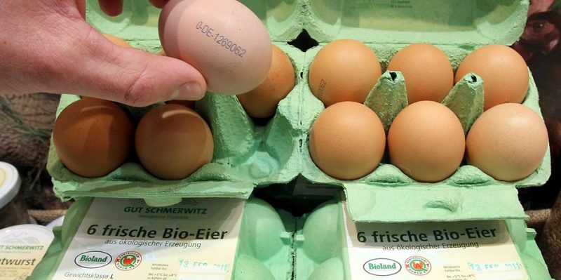 Полезные советы: Органические яйца: как супермаркеты обманывают покупателей