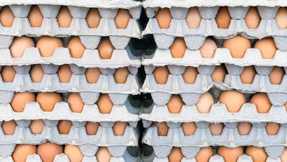 Полезные советы: Яйца, орехи и молоко: какие продукты можно замораживать и как это делать правильно?