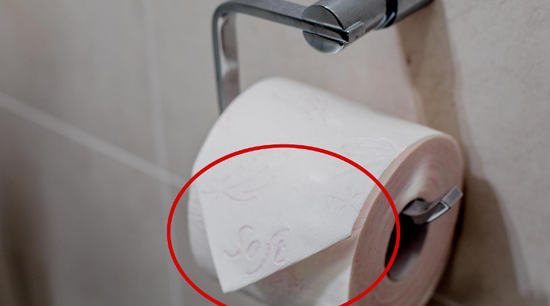 Общество: Почему вы должны быть осторожными с туалетной бумагой в отелях?