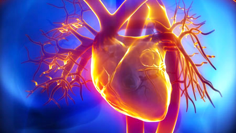 Здоровье: 7 нетипичных симптомов, указывающих на проблемы с сердцем