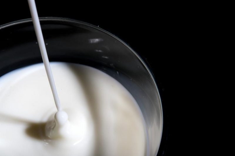 Деньги: В Германии подешевеет молоко, но подорожает сливочное масло