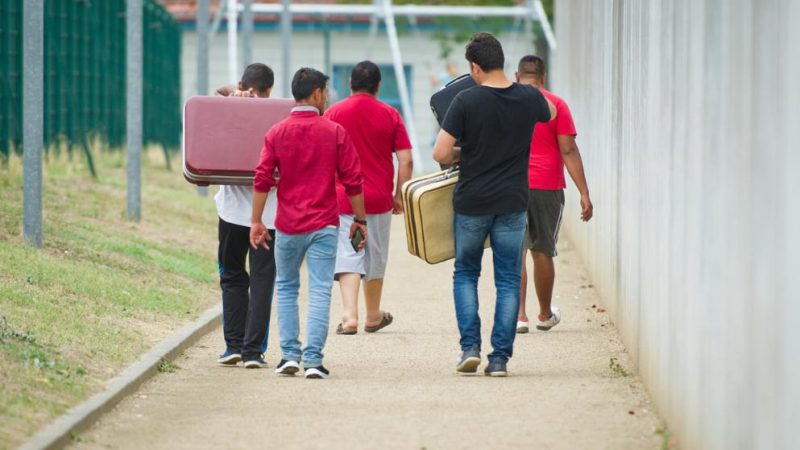 Сколько на самом деле преступников среди мигрантов?