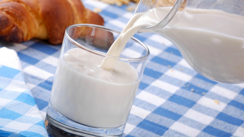 Здоровье: Молоко: вред или польза?