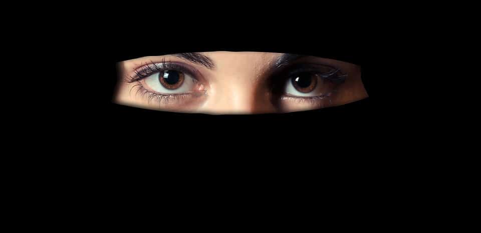 Отовсюду обо всем: В Дании женщинам запретили носить никаб и паранджу