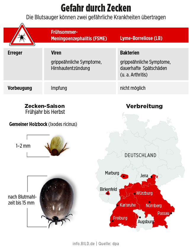 Общество: Осторожно! Клещи атакуют Германию рис 2
