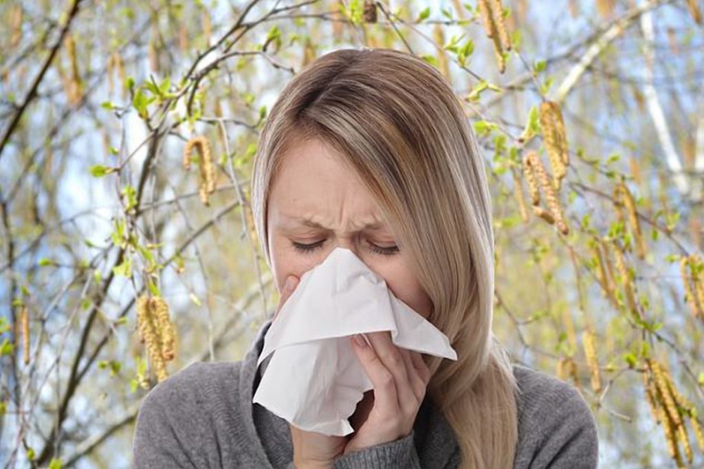 Здоровье: Аномальная концентрация: немцы задыхаются от пыльцы
