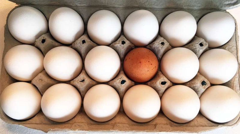 Общество: Почему в супермаркете нельзя заменить разбитые яйца из одной коробки на целые из другой?