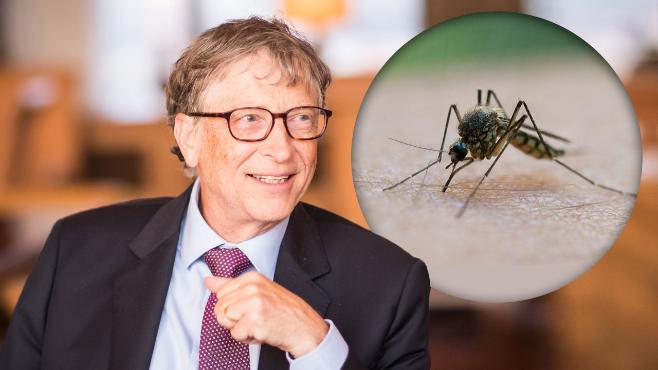 Отовсюду обо всем: Билл Гейтс решил вложить деньги в комаров-киллеров