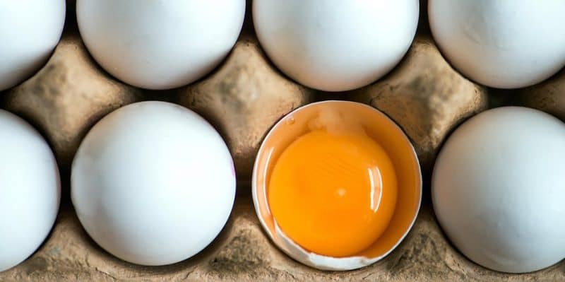 Общество: Более 70 тыс куриных яиц отзывают из-за опасного химиката