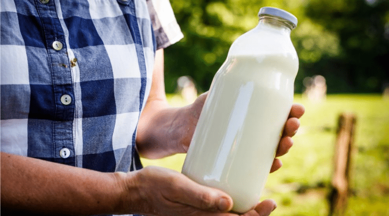 Здоровье: Вредно ли людям употреблять молоко и молочные продукты?