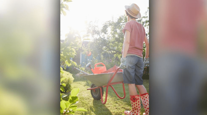 Домашние хитрости: Рекомендации опытного садовода: что обязательно нужно сделать в саду в июне