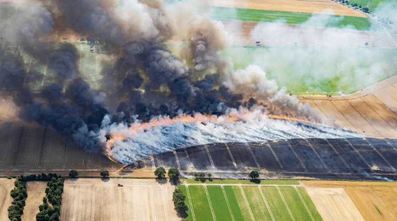 Общество: Пожароопасный сезон в Германии: что обязательно нужно знать