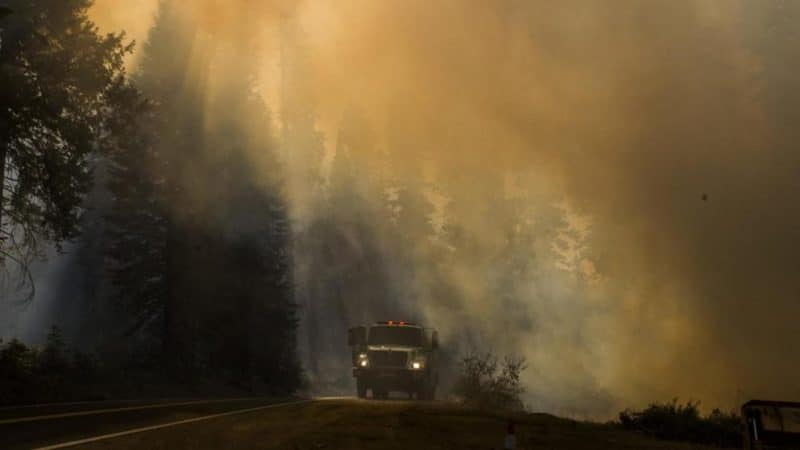 Отовсюду обо всем: В Калифорнии бушует крупнейший в истории штата лесной пожар