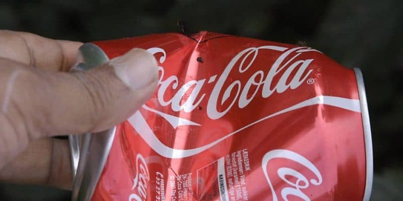 Здоровье: Что происходит с организмом после употребления кока-колы?
