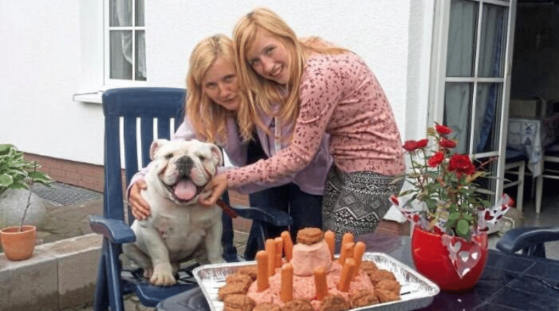 Общество: Семья из Германии впервые клонирует собаку