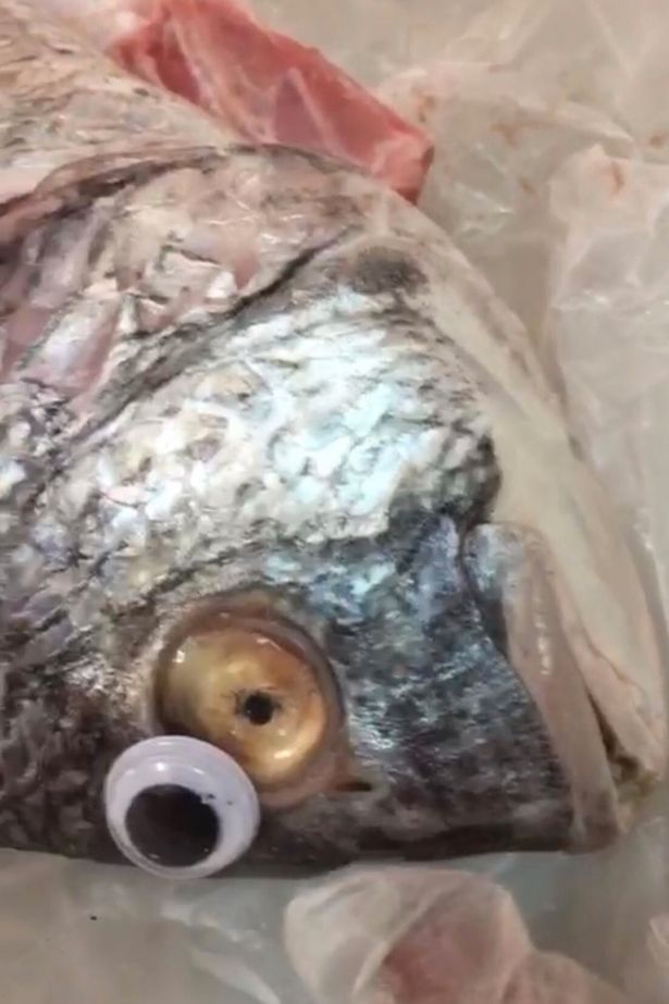 Отовсюду обо всем: Торговец приделывал рыбе искусственные глаза, чтобы та казалась свежее