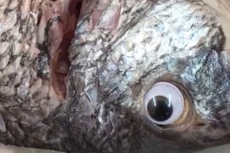 Отовсюду обо всем: Торговец приделывал рыбе искусственные глаза, чтобы та казалась свежее
