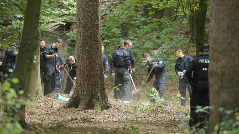 Происшествия: Полиция перелопатила парк в поисках пропавшей девочки