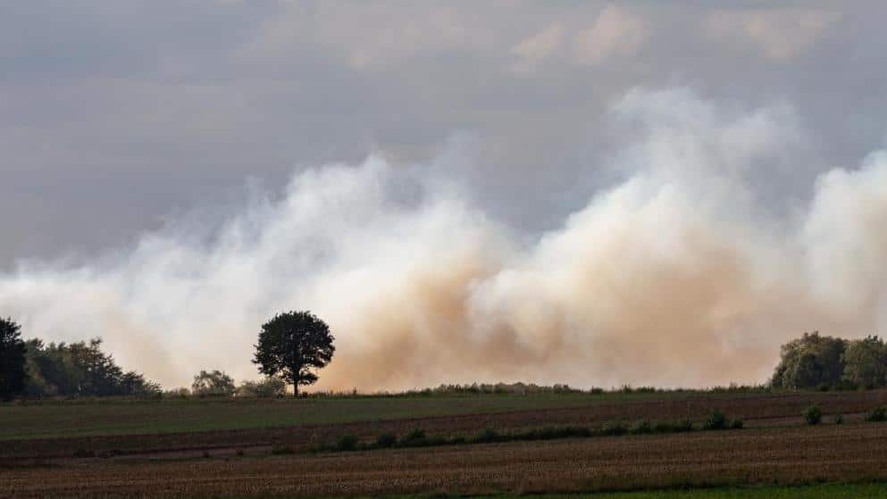 Происшествия: Бундесвер стал виновником масштабного пожара: облако дыма видно даже из космоса