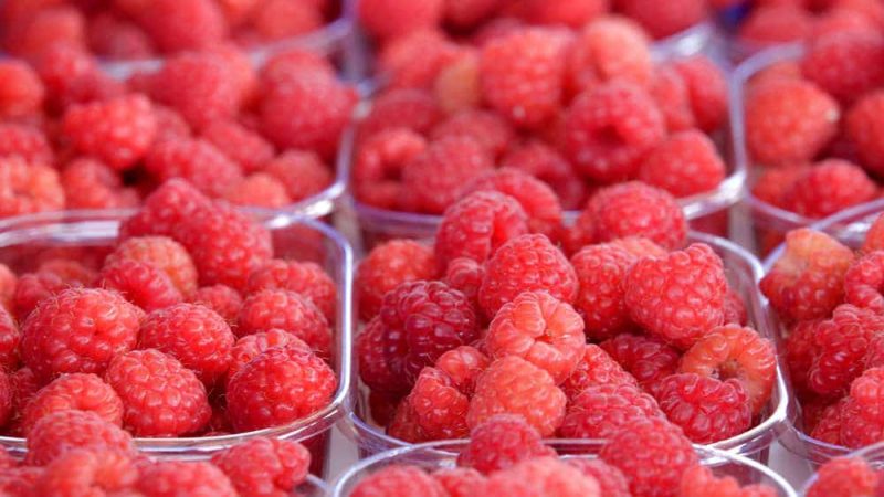 Домашние хитрости: Как избежать появления плесени на ягодах? Действенные методы