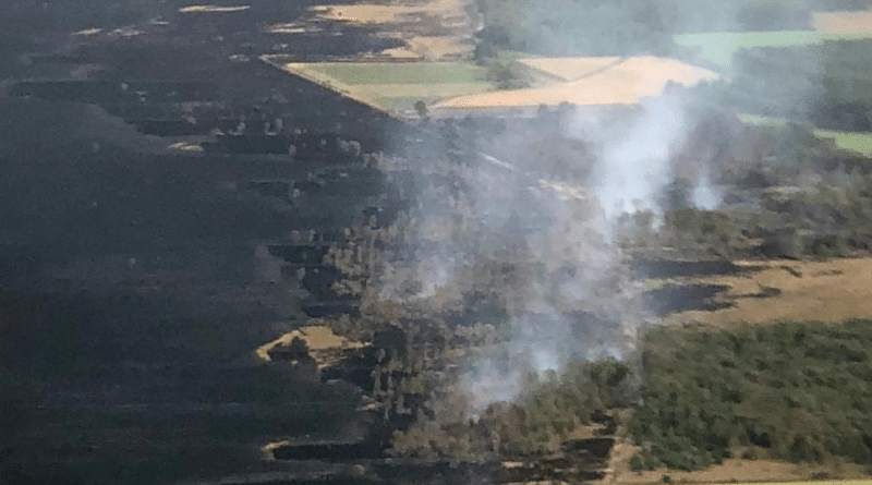 Происшествия: Торфяники в Нижней Саксонии продолжают гореть, борьбу с огнем ведут более 1200 пожарных
