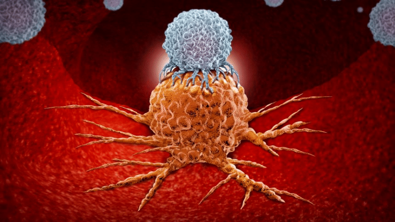 Здоровье: Нобелевская премия: переворот в лечении рака