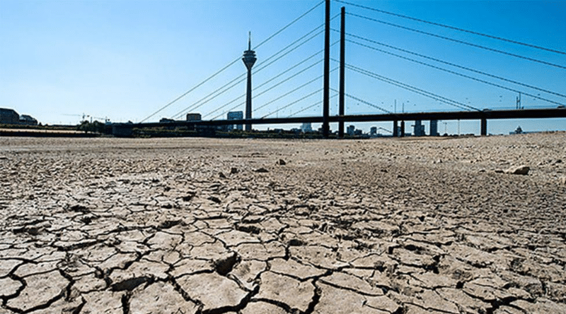 Общество: Засуха продолжается: уровень воды в Рейне упал до рекордно низкого уровня