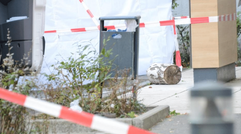 Происшествия: В Берлине ребенка убили поленом. Обновлено рис 3