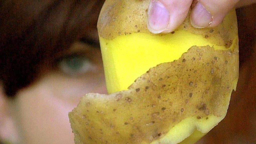 Здоровье: Опасный картофель: в каких случаях есть его нельзя