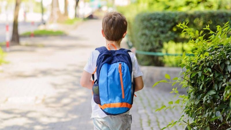 Общество: Ребенок четыре года не ходил в школу, и никто не заметил его отсутствия