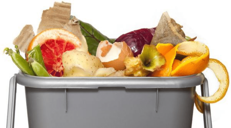Полезные советы: Правильная утилизация: что можно выбрасывать в контейнер для биоотходов?