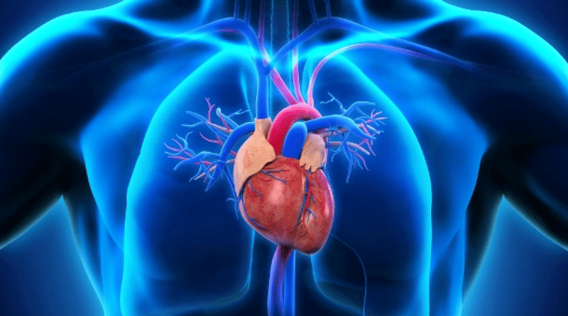 Здоровье: Нетипичные симптомы, указывающие на проблемы с сердцем