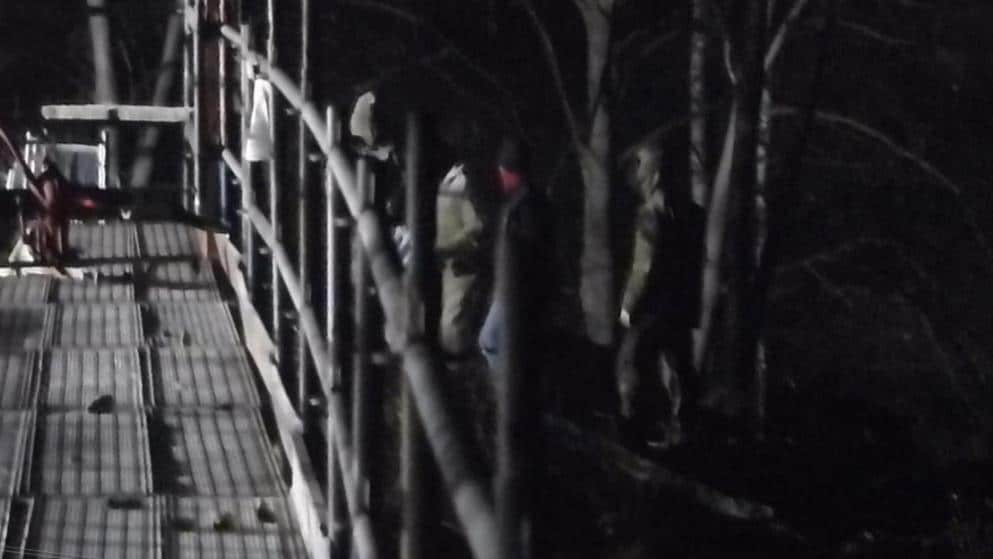 Происшествия: В Хамбахском лесу неспокойно: активисты напали на сотрудников RWE и полицейских рис 2