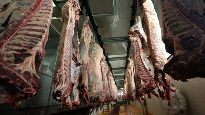 Происшествия: Мясо больных коров из Польши посеяло панику по всей Европе