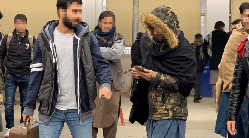 Общество: Почему Германия приняла депортированного преступника, которого отверг Афганистан?
