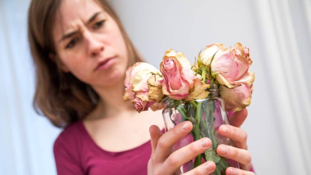 Закон и право: Можно ли возвращать цветы, купленные в магазине или онлайн?