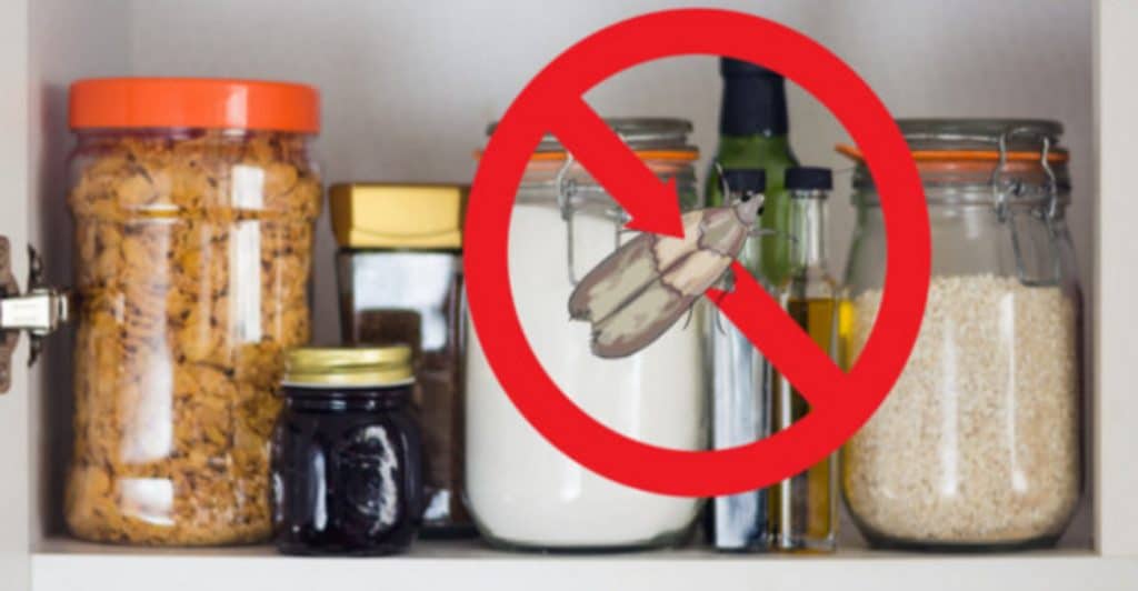 Домашние хитрости: Как избавиться от пищевой моли с помощью домашних средств