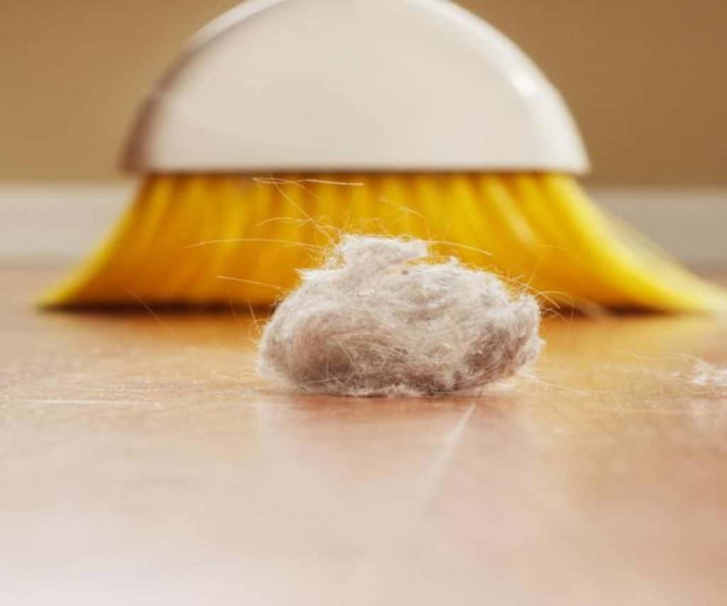 Домашние хитрости: Как избавиться от пылевых клещей
