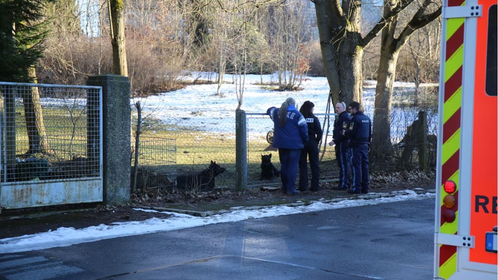 Происшествия: В Баварии три овчарки чуть не растерзали отца с маленькими детьми
