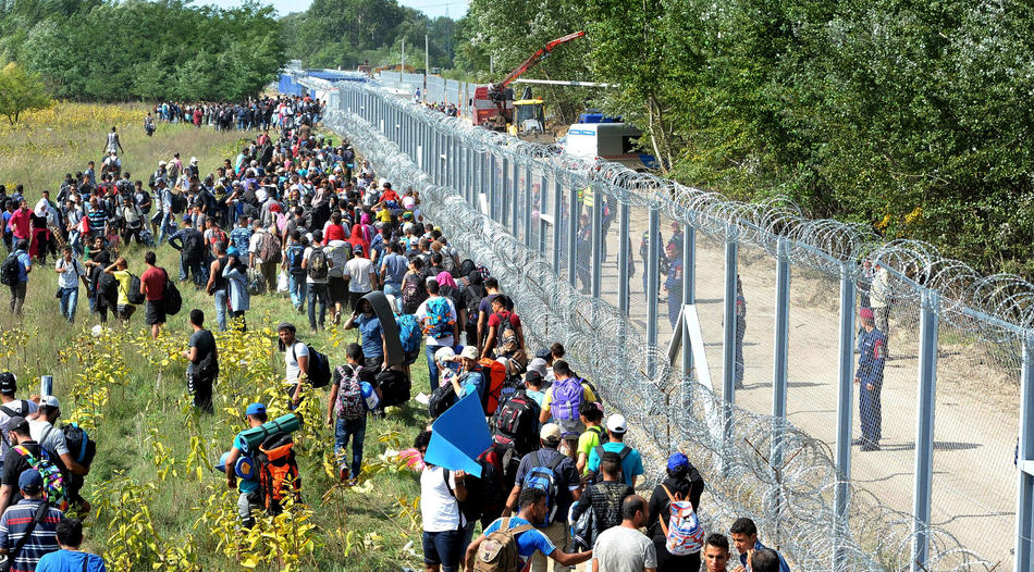 Отовсюду обо всем: Венгрия морит беженцев голодом в транзитных зонах