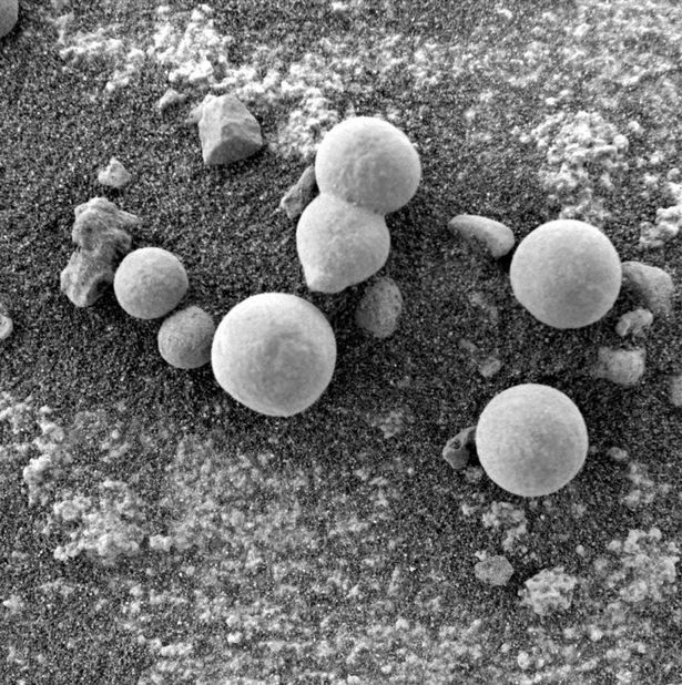 Отовсюду обо всем: Марсоход Curiosity обнаружил на Красной планете грибы