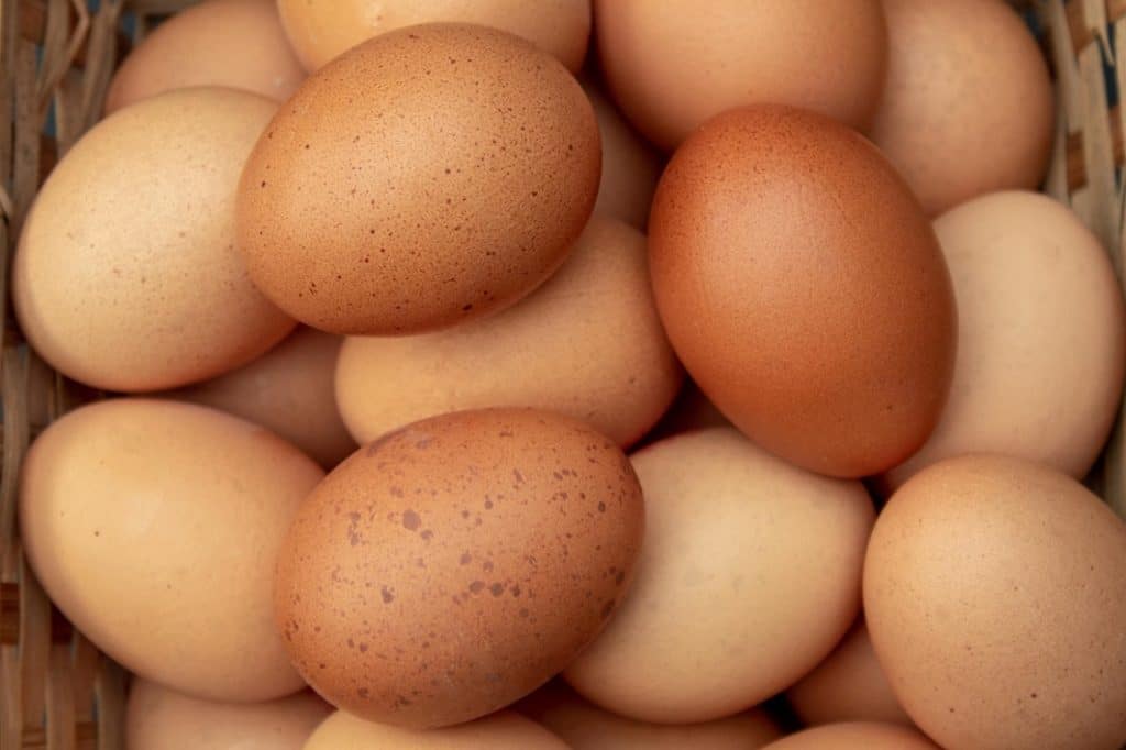 Общество: Органические куриные яйца этой торговой марки опасны для здоровья