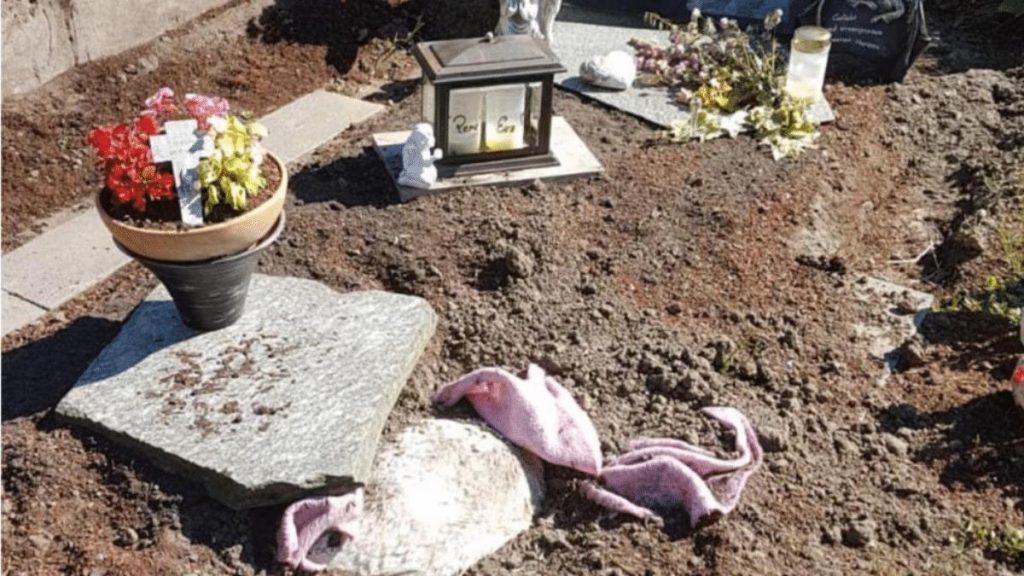 Происшествия: Женщина подхоронила пса в могилу своего отца