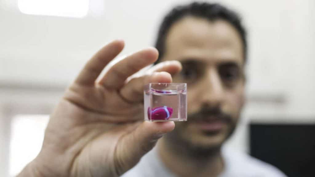 Общество: Впервые в мире ученые воссоздали живое сердце на 3D-принтере